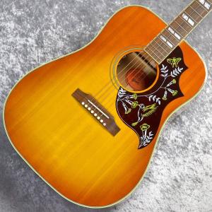 エドシーラン監修 エレクトリック アコースティックギター シーラン