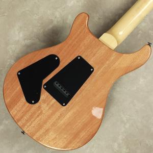 PRS ポールリードスミス SE Custom...の詳細画像5