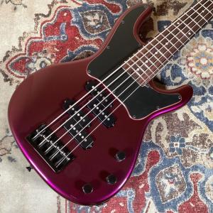 Freedom Custom Guitar Research フリーダム Blowzer 5st PP SCB Succubus 5弦エレキベース/PPレイアウト 〔新宿PePe店〕