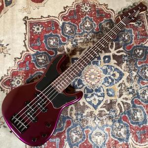 Freedom Custom Guitar R...の詳細画像1