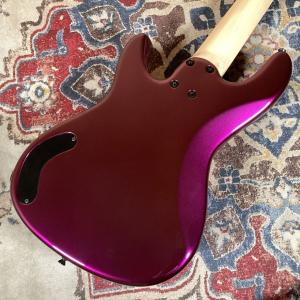Freedom Custom Guitar R...の詳細画像2