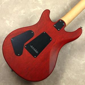 PRS ポールリードスミス(Paul Reed...の詳細画像4
