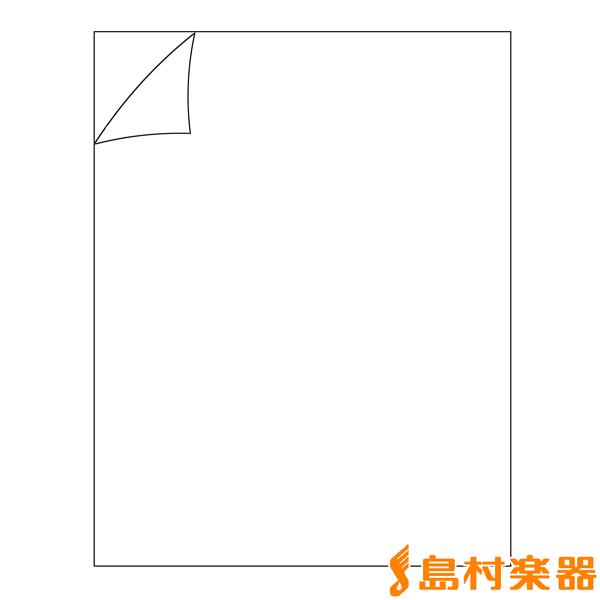 SCUD スカッド F-PGCL ピックガードシート クリア 220mm × 290mm アコーステ...