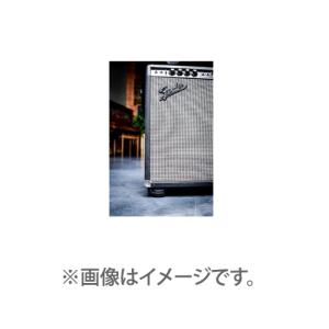 ISO ACOUSTICS アイソアコースティ...の詳細画像3
