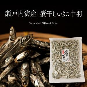 煮干しページ 塩無添加 食べる煮干し（にぼし）100g チャック付き（無塩・酸化防止剤