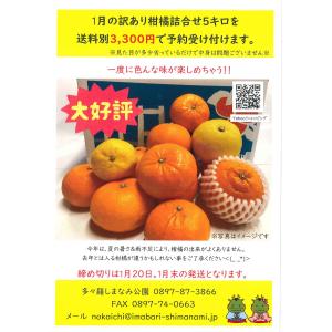 【予約商品】1月訳あり柑橘詰め合わせ 5キロ 家庭用｜shimanami