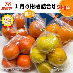 愛媛 みかんジュース ストレート 500ml 12本入 無添加 果汁100％ 送料