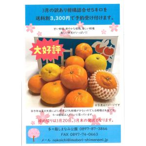 【予約商品】3月訳あり柑橘詰め合わせ 5キロ 家庭用 B品｜shimanami