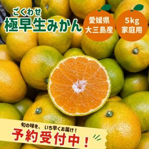 みかんジュース 愛媛 大三島 みかん農家 果汁100% 生産者おすすめ
