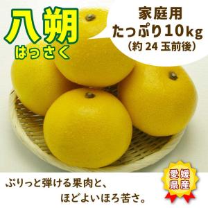 八朔 10kg 愛媛県 大三島 家庭用 不揃い はっさく しまなみ海道