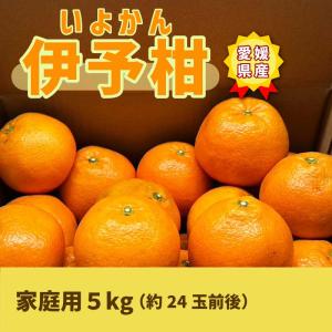 伊予柑 いよかん 5kg 家庭用 愛媛産県 大三島 しまなみ海道