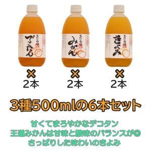 愛媛 温州みかん ストレートジュース 1000ml 6本入り 無添加 果汁100