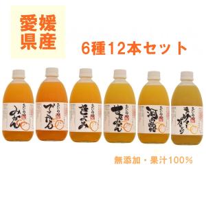 えひめの柑橘ストレートジュース詰め合わせ６種　　500ml　【12本】｜shimanami