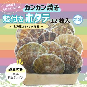 カンカン焼き 殻付きホタテ 北海道 オホーツク海産 海鮮 簡単 蒸し焼き 送料無料