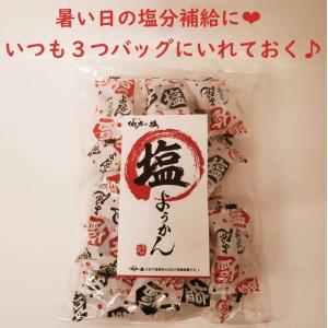 塩ようかん 伯方の塩使用 羊羹 個包装 しまなみ海道 大三島