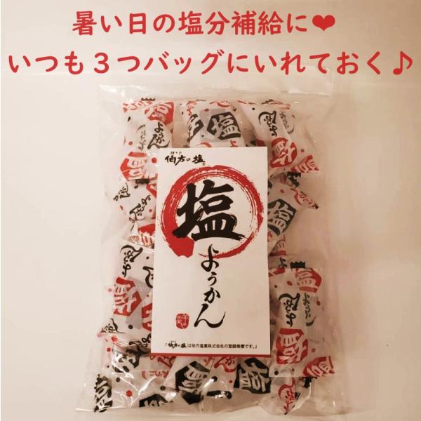 塩ようかん 伯方の塩使用 羊羹 個包装 しまなみ海道 大三島