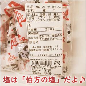 塩ようかん 伯方の塩使用 羊羹 個包装 しまな...の詳細画像2