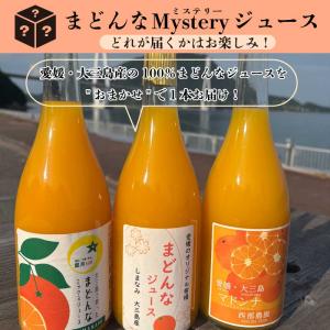 愛工房 不知火 柑橘 ジュース 愛媛 しらぬい カートカン 紙パック