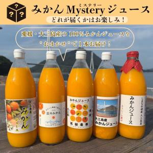 愛工房 なつみ みかんジュース 送料無料 果汁100% ストレート カート