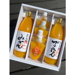 柑橘ジュース（1000ml) 柑橘ジュレ(4パック）果汁100％ ギフトセット 贈答品 愛媛 みかん でこたん きよみ しまなみ海道｜shimanami