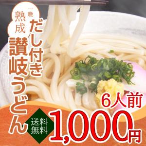 熟成さぬきうどん 600g(300g×2)  6人前 だし付き 半生 メール便送料無料