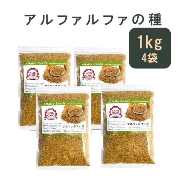 アルファルファ 種 1kg スーパーフード 高品質 オーストラリア産 1000g Alfalfa s...