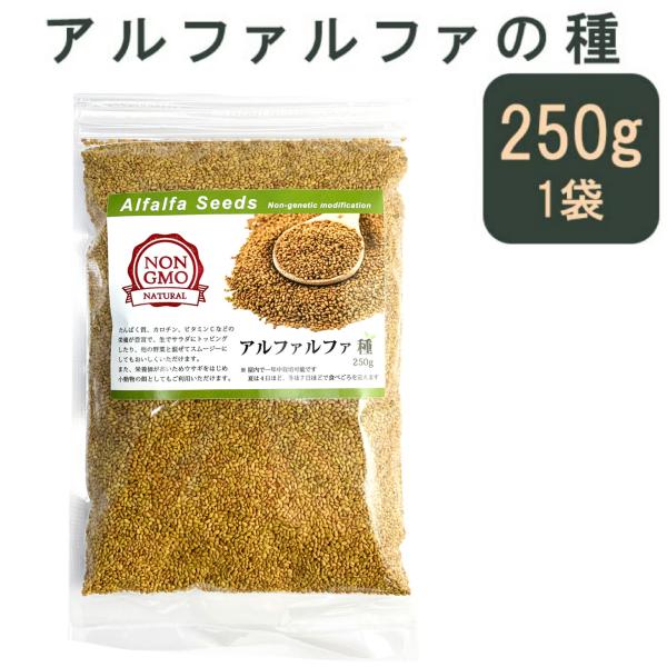 アルファルファ 種 250g  スーパーフード  高品質 オーストラリア産   Alfalfa 野菜...