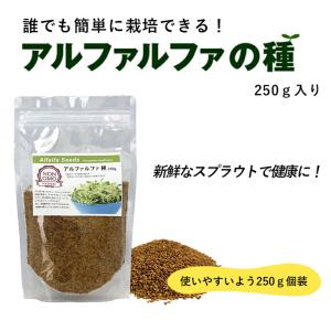 アルファルファ 種 250g スーパーフード ...の詳細画像1