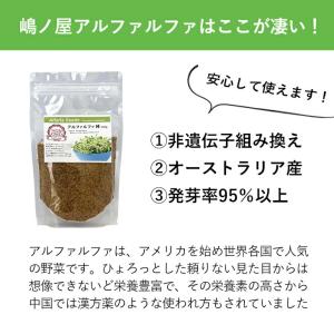 アルファルファ 種 250g スーパーフード ...の詳細画像2
