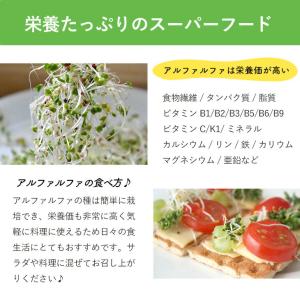 アルファルファ 種 250g スーパーフード ...の詳細画像3
