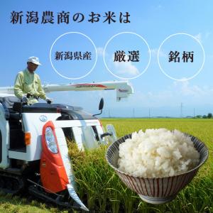 (贈答用) 新潟県産 コシヒカリ 銘柄 米ギフ...の詳細画像2