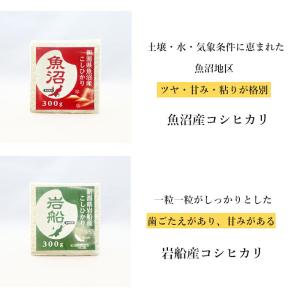 (贈答用) 新潟県産 コシヒカリ 銘柄 米ギフ...の詳細画像4