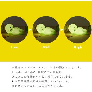 スミスキー タッチライト SMISKI Tou...の詳細画像2