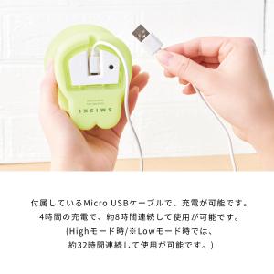 スミスキー タッチライト SMISKI Tou...の詳細画像3