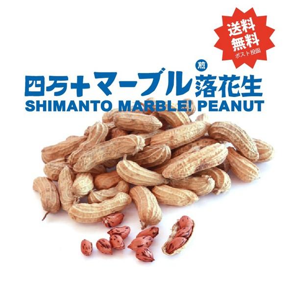 送料無料！四万十しましま落花生50g2個セット　珍しいしま模様の落花生　美味！コクや香りが絶品！プレ...