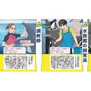 「新品 新星」お仕事図鑑300の詳細画像5