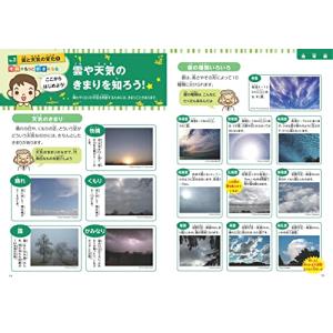 「新品 メイツ」図解でしっかりわかる! 小学生...の詳細画像2