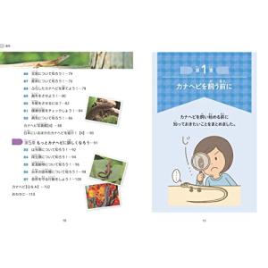 (新品 メイツ)小学生でも安心! はじめてのカ...の詳細画像2