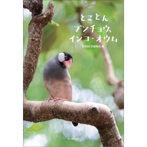 とことんブンチョウ BIRDER編集部の買取情報