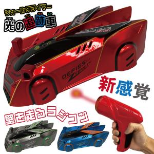 在庫処分特価 キモ楽しいリアル昆虫ラジコン 巨大昆蟲RC（蠅ハエ・蜂