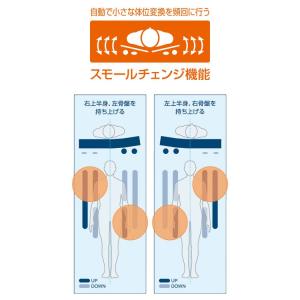 スモールチェンジ ラグーナ 900 / CR-...の詳細画像1