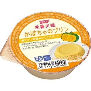 栄養支援　かぼちゃのプリン / 54g（ホリカフーズ）