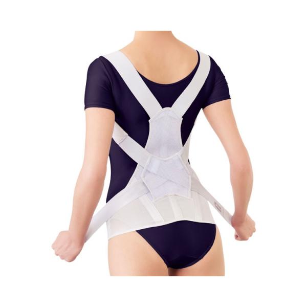 お医者さんのがっちり背すじベルト / AP-202806　M-L（アルファックス）