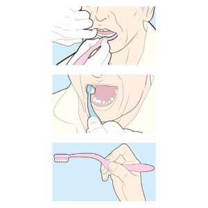 エラックハブラシ 620 6本セット(ピンク4...の詳細画像1