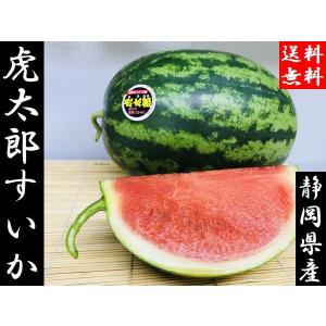 お中元 ご贈答 送料無料 虎太郎 スイカ 2玉入...の商品画像