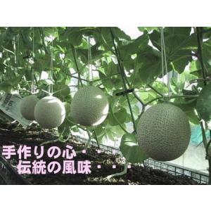 訳あり 送料無料 静岡産 温室マスクメロン アローマ印 2玉...