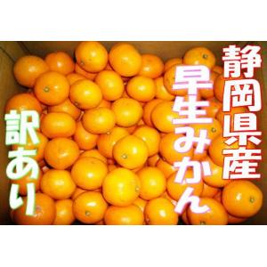 ご自宅用 ご家庭用 送料無料 静岡産早生みかん5ｋｇ入り　S〜Lサイズ