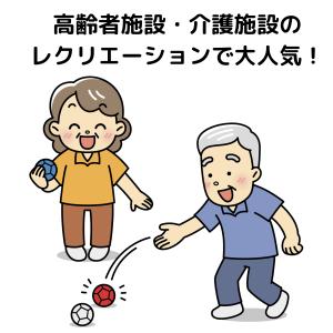 ボッチャ セット 公認上級パラスポーツ指導員監...の詳細画像5