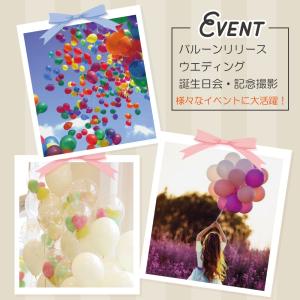 ヘリウムガス 風船 風船用 200L ヘリウム...の詳細画像3