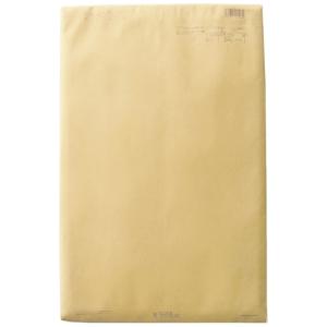 菅公工業　パースルバッグ タ106-10 A3判 10枚